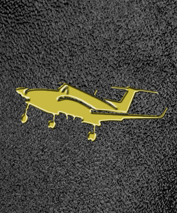 F35 Gold Black Plane PROOF